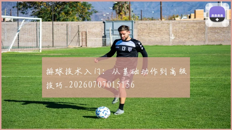 排球技术入门：从基础动作到高级技巧_20260707015156