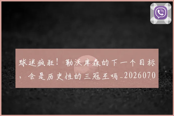 球迷疯狂！勒沃库森的下一个目标，会是历史性的三冠王吗_20260708192434